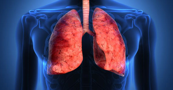 Lung Foundations